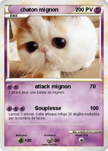 Pokemon chaton mignon