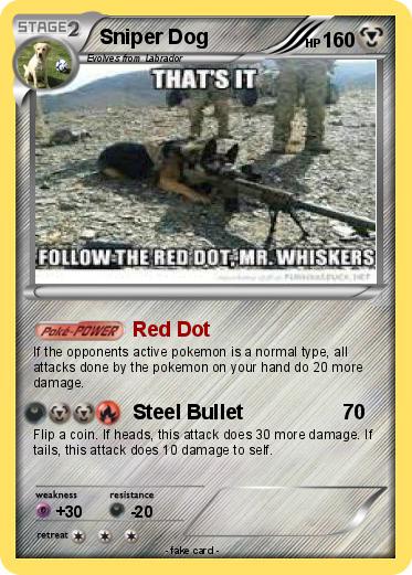 Pokemon Sniper Dog