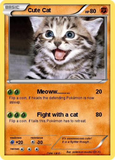 Pokemon Cute Cat