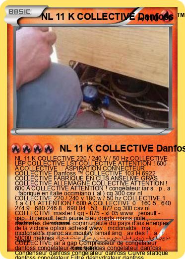 Pokemon NL 11 K COLLECTIVE Danfoss ™