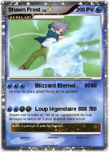 Pokemon Shawn Frost