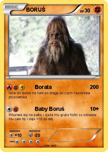 Pokemon BORUŚ