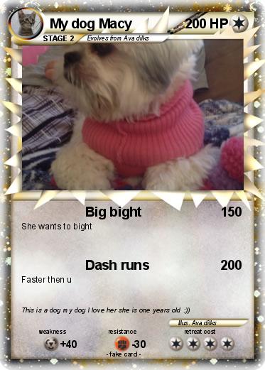 Pokemon My dog Macy