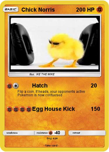 Pokemon Chick Norris
