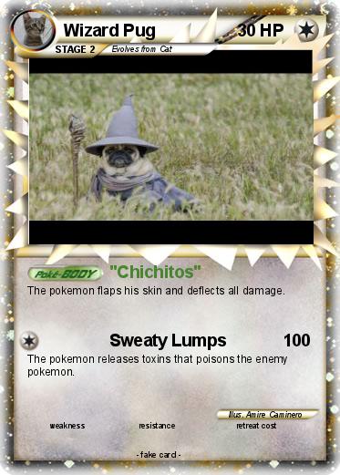Pokemon Wizard Pug