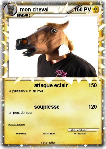 Pokemon mon cheval
