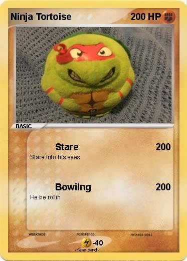 Pokemon Ninja Tortoise