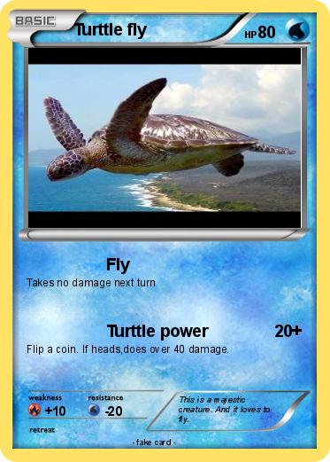 Pokemon Turttle fly