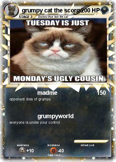 Pokemon grumpy cat the scorge