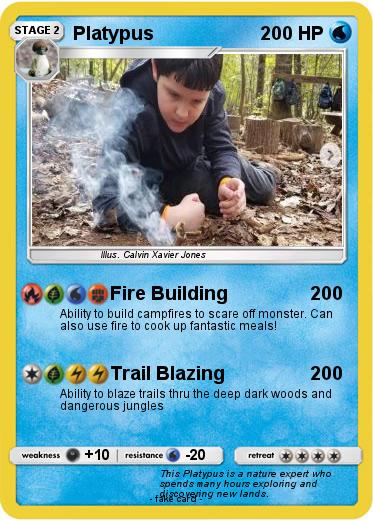 Pokemon Platypus