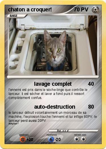 Pokemon chaton a croquer!