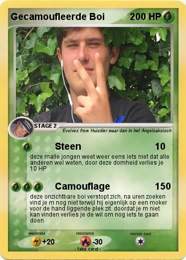 Pokemon Gecamoufleerde Boi