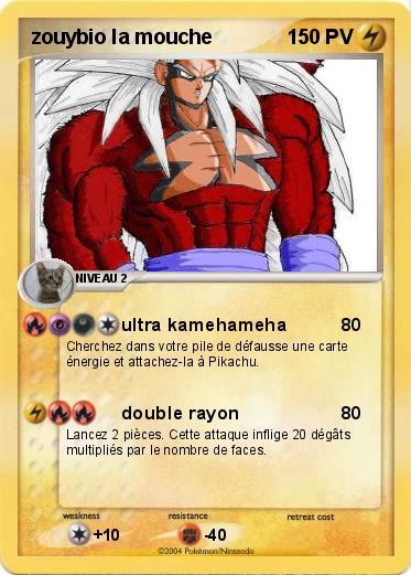 Pokemon zouybio la mouche