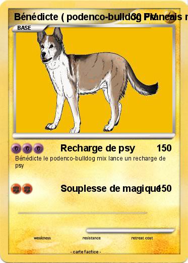 Pokemon Bénédicte ( podenco-bulldog Francais mix )