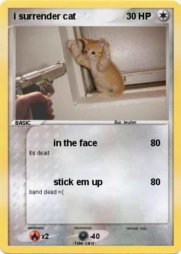 Pokemon i surrender cat