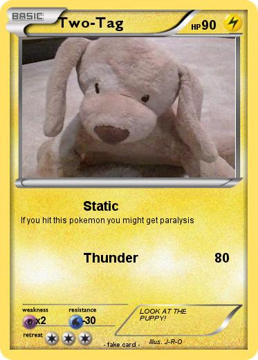 Pokemon Two-Tag