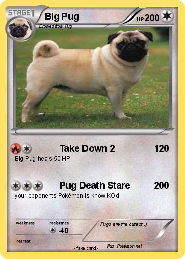Pokemon Big Pug