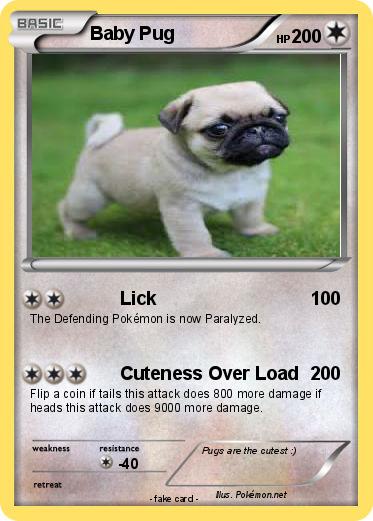 Pokemon Baby Pug