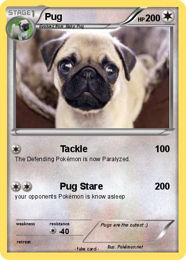 Pokemon Pug