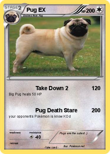 Pokemon Pug EX