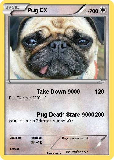 Pokemon Pug EX