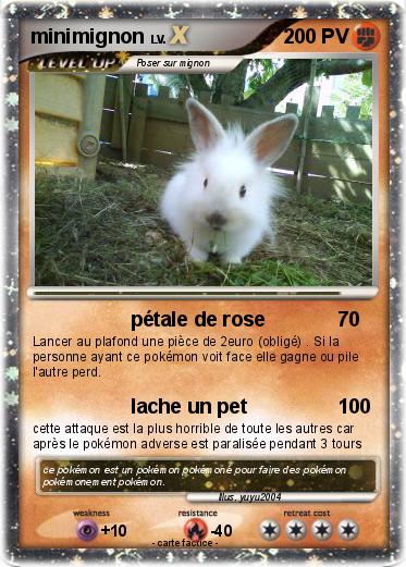 Pokemon minimignon