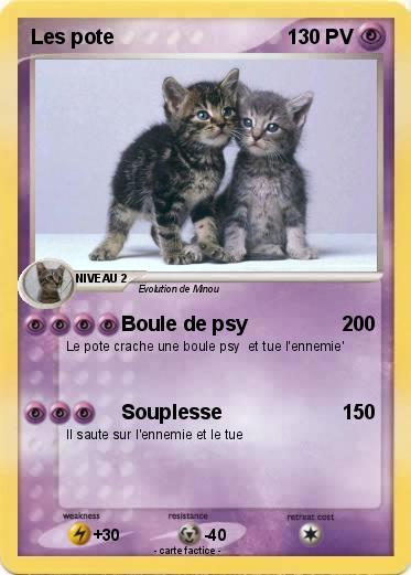 Pokemon Les pote