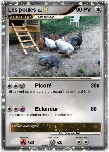 Pokemon Les poules