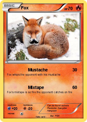 Pokemon Fox
