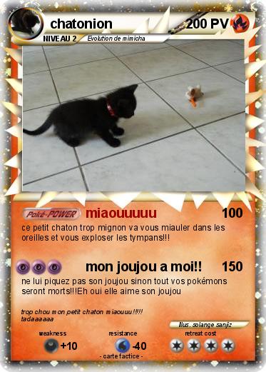 Pokemon chatonion