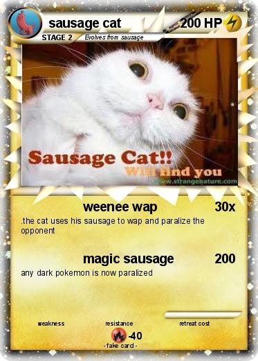 Pokemon sausage cat