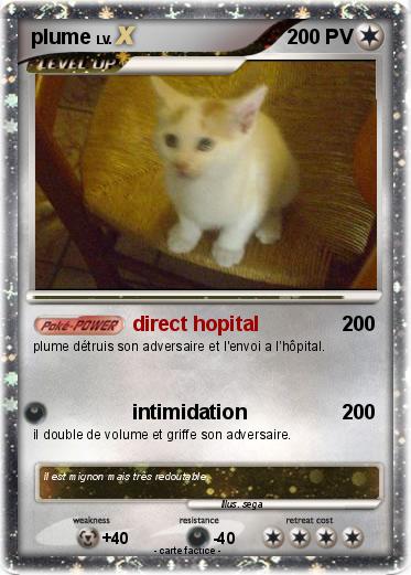 Pokemon plume