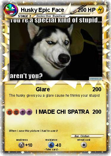 Pokemon Husky Epic Face