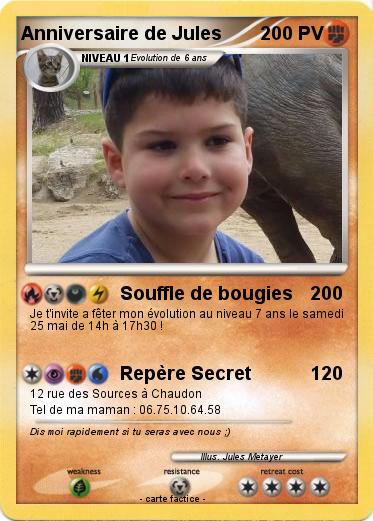 Pokemon Anniversaire de Jules