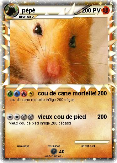 Pokemon pépé