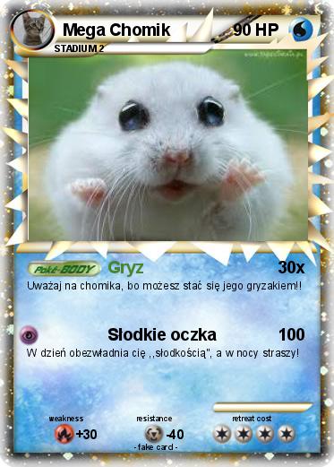 Pokemon Mega Chomik