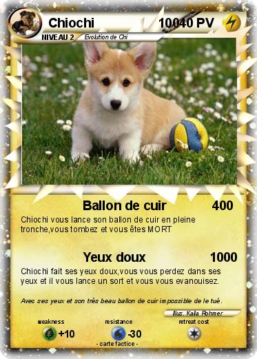 Pokemon Chiochi                  100