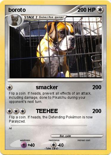 Pokemon boroto