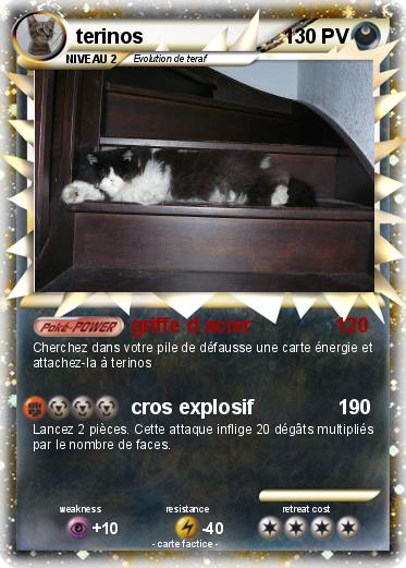 Pokemon terinos