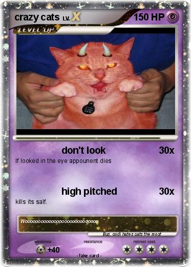 Pokemon crazy cats