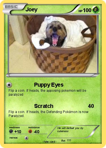 Pokemon Joey