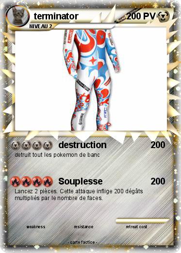 Pokemon terminator