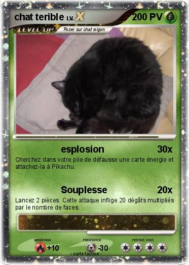 Pokemon chat terible