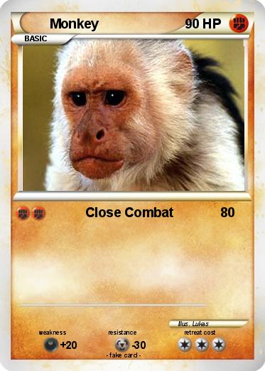 Pokemon Monkey