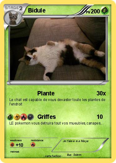 Pokemon Bidule