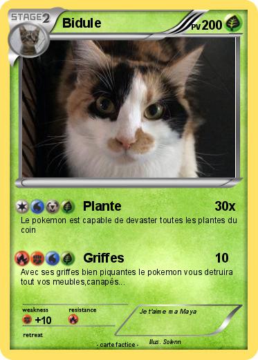 Pokemon Bidule