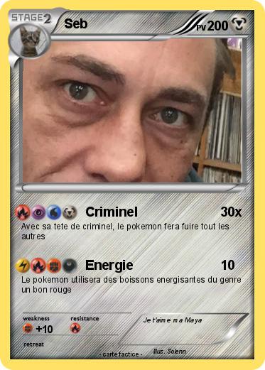Pokemon Seb