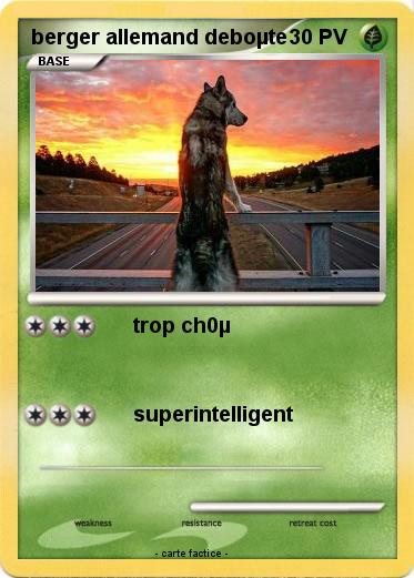 Pokemon berger allemand deboµte