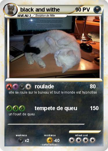 Pokemon black and withe