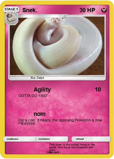 Pokemon Snek.